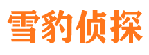 内江侦探